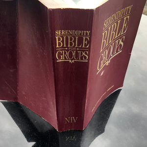 Serendipity Bible for Groups New International